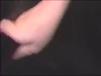 Slut grabbing a huge dog dick and playing with it